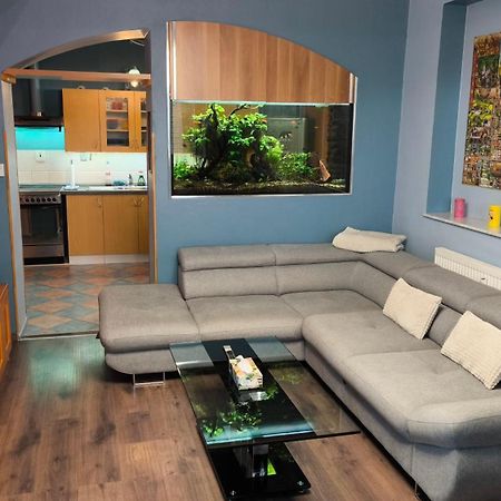 Suk Apartman 24 Suchdol nad Luznici Extérieur photo